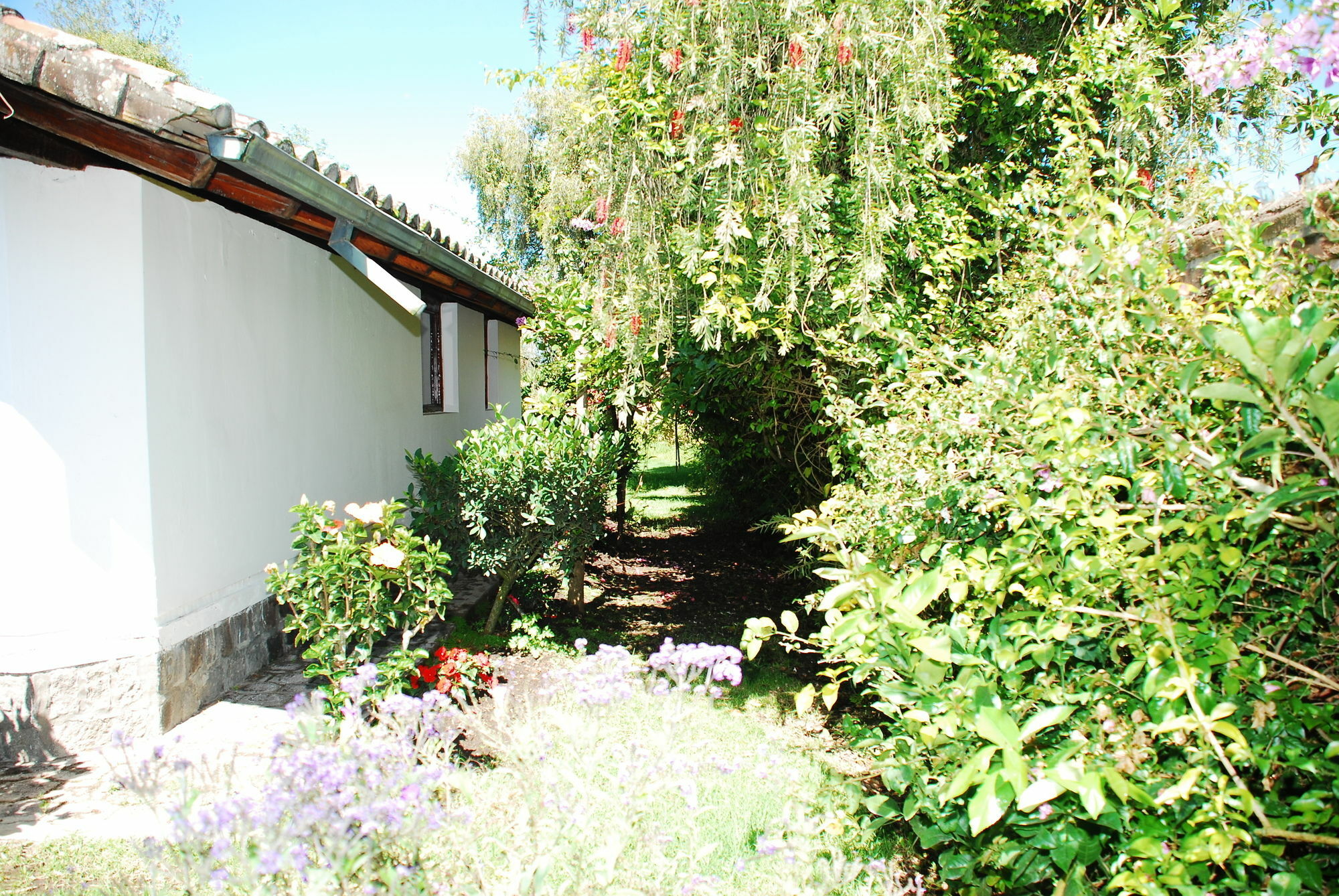Hosteria Airport Garden Tababela Kültér fotó